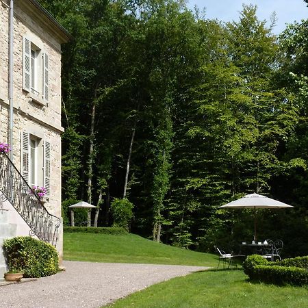 Chateau De La Houillere Bed & Breakfast Champagney ภายนอก รูปภาพ