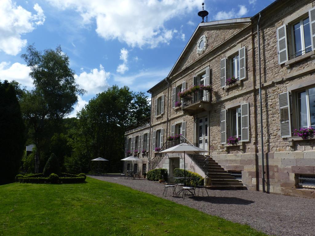 Chateau De La Houillere Bed & Breakfast Champagney ภายนอก รูปภาพ